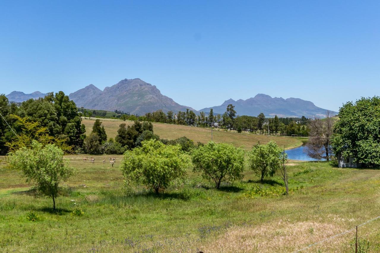 Wildlife Retreat On A Wine-Farm Villa Stellenbosch Bagian luar foto